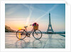 Bicycle and Eiffel tower by Assaf Frank